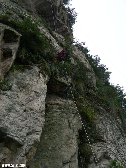 DSCN5257.jpg
