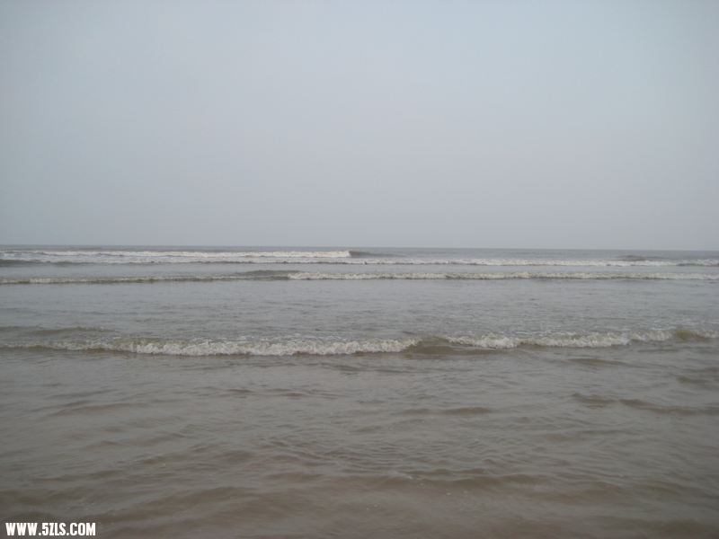 IMG_0181.jpg