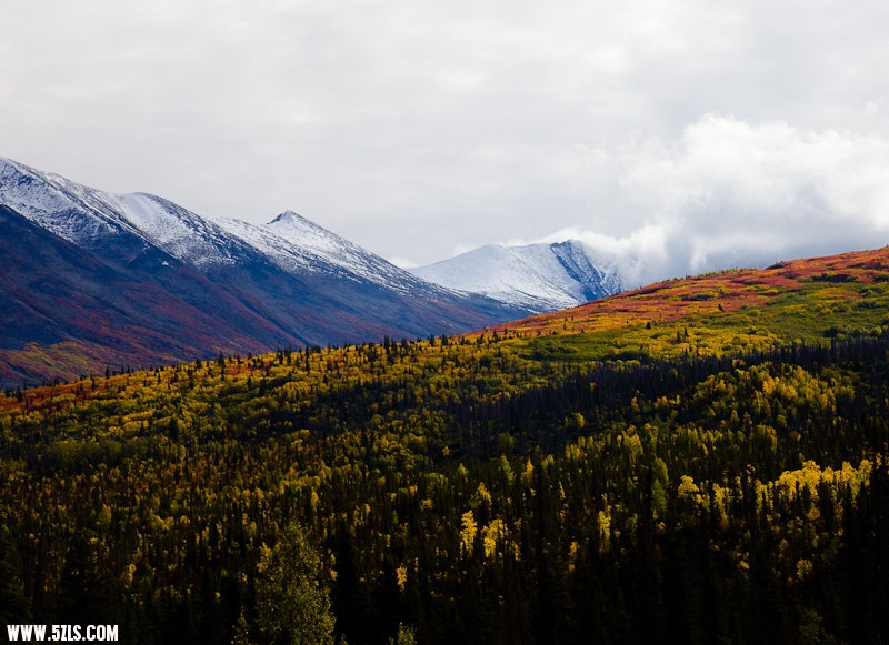 _MG_0947-2.jpg