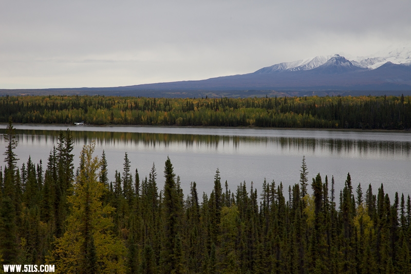 _MG_0540-2.jpg