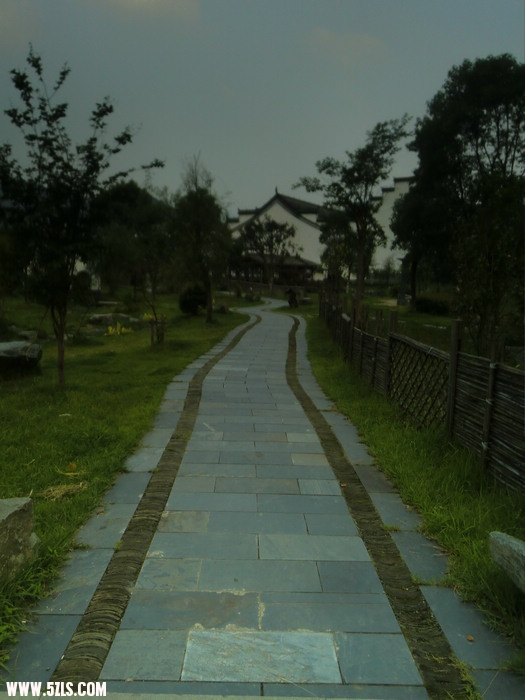 CIMG7516.jpg