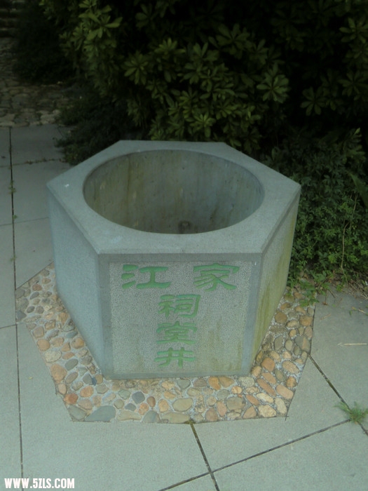 CIMG7515.jpg