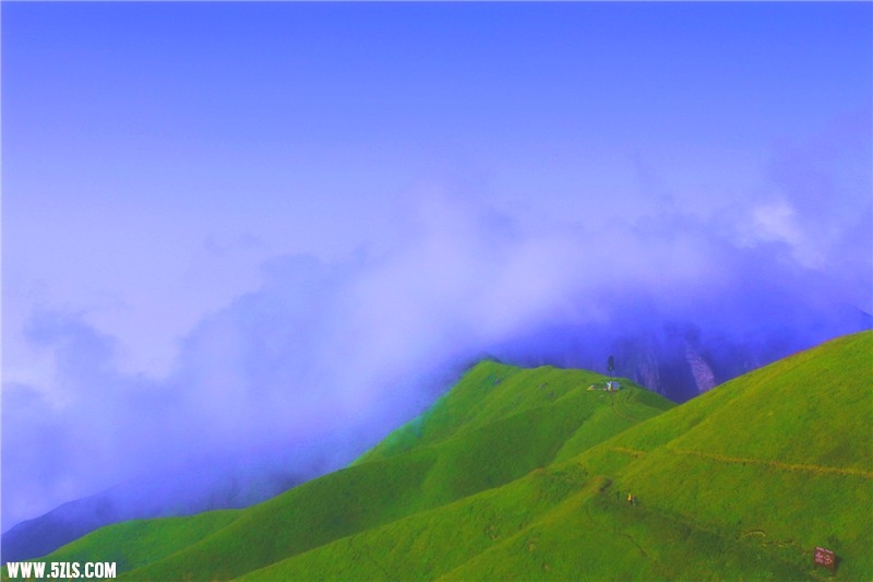 _mg_9133_.jpg