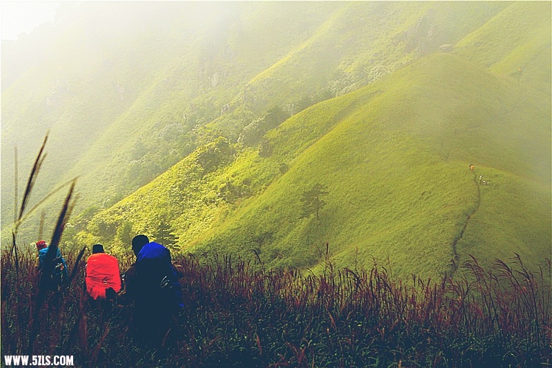 _mg_9323_.jpg