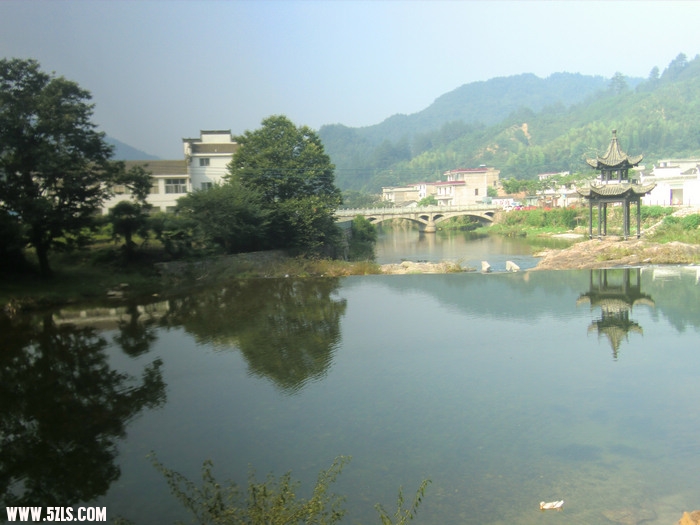 CIMG7654.jpg
