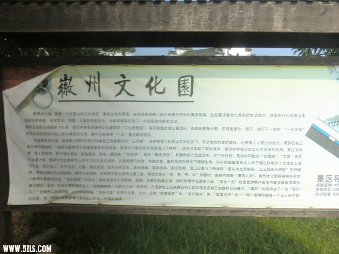 CIMG7713.jpg
