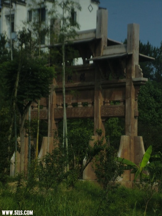 CIMG7724.jpg