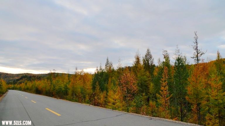 P1090249.jpg