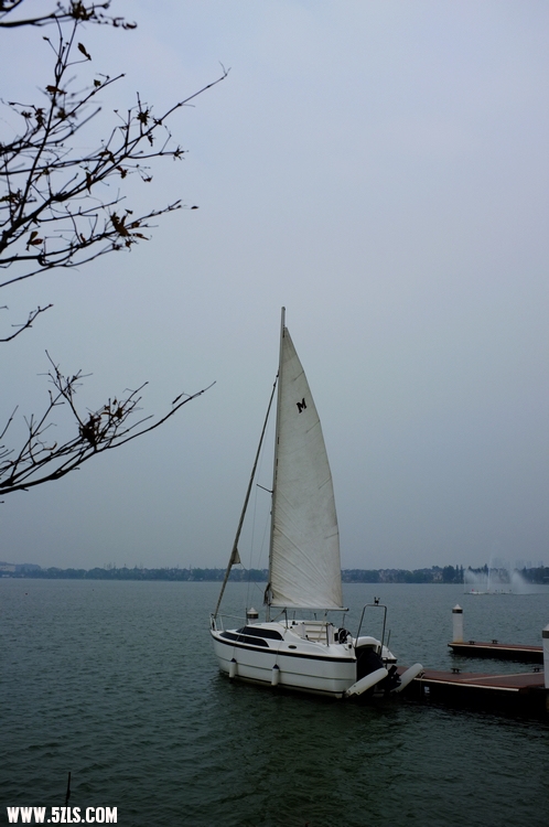 DSCF1673.jpg