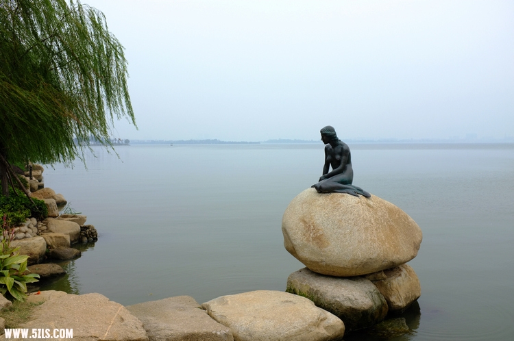 DSCF1689.jpg