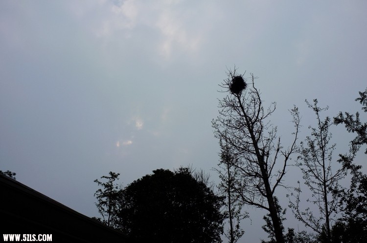 DSCF1663.jpg