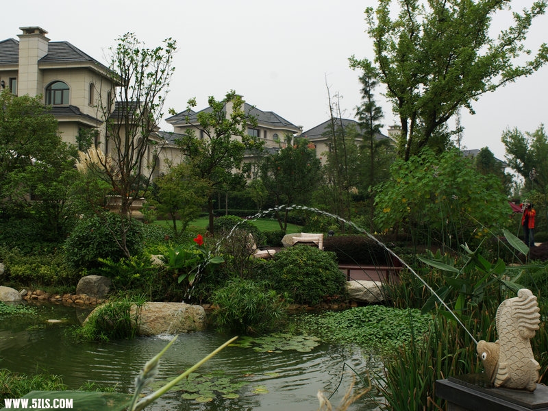 IMGP3767.jpg