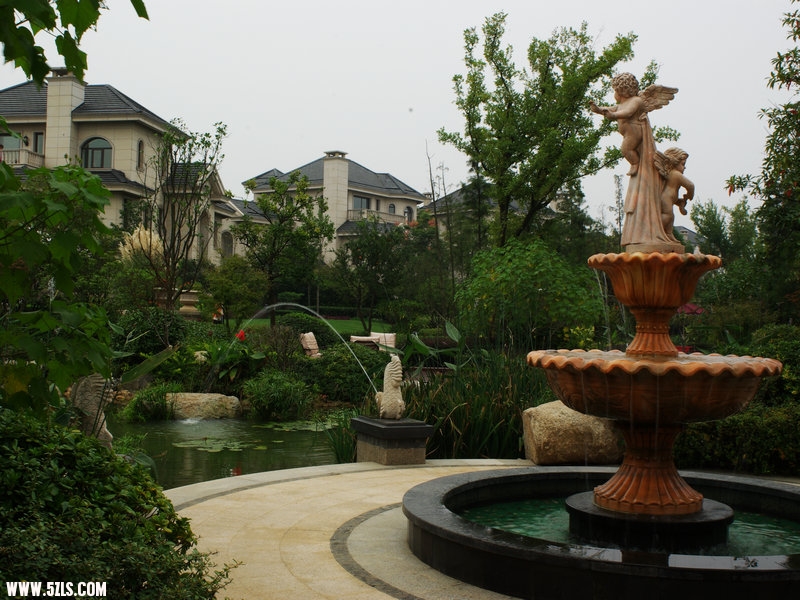 IMGP3769.jpg