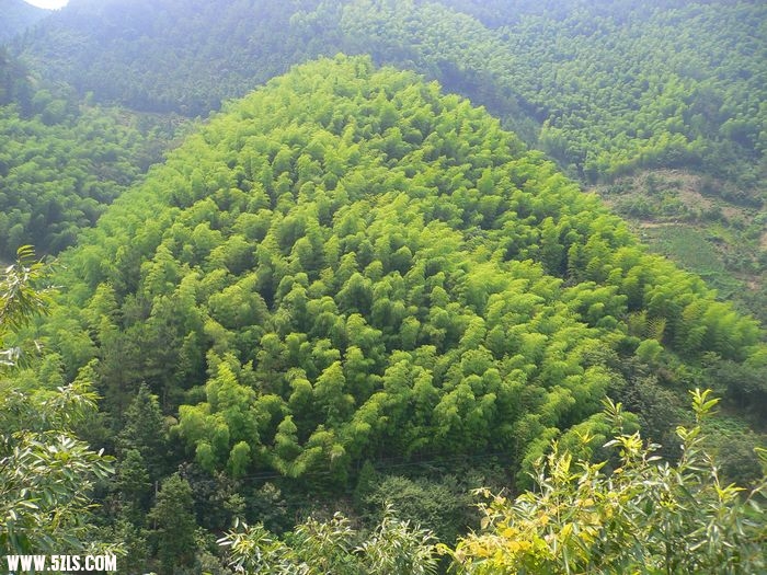 P1100463.jpg