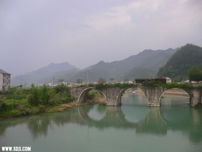 P1100482.jpg