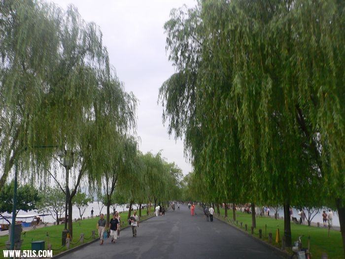 P1100513.jpg
