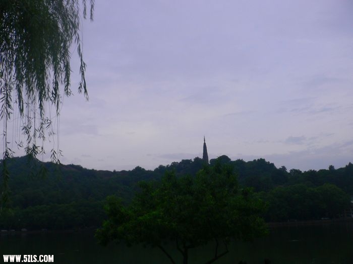 P1100515.jpg