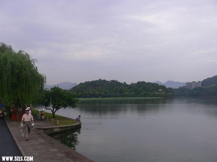 P1100523.jpg