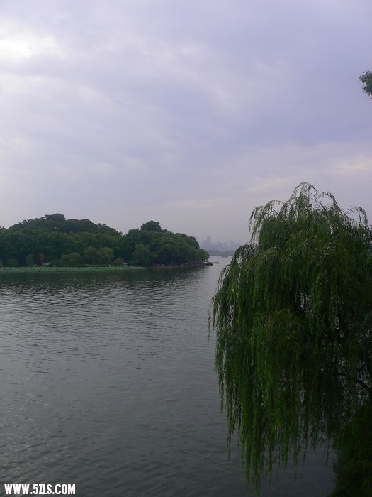 P1100548.jpg