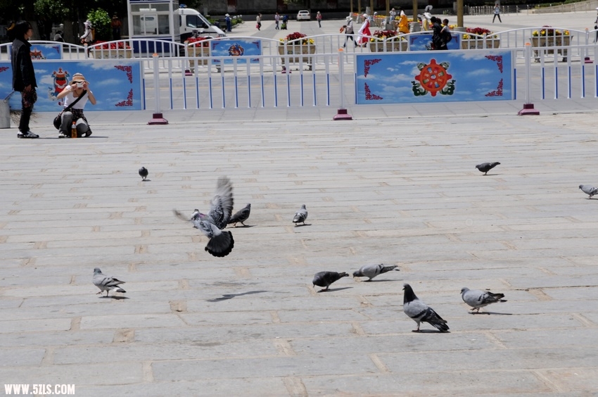 Ƭ 043.jpg
