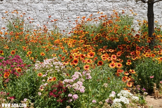 Ƭ 053.jpg