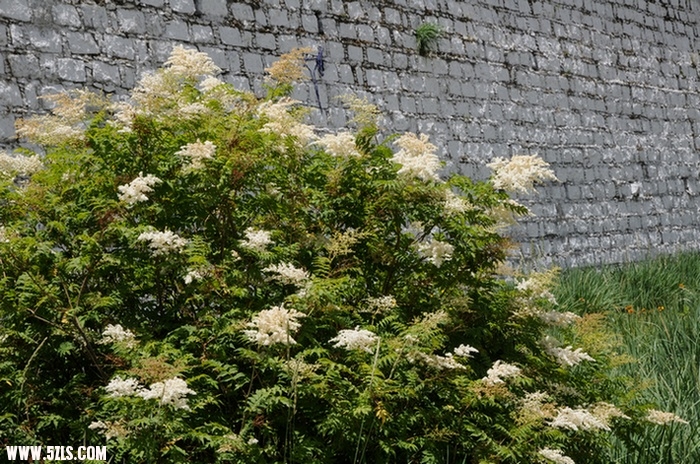 Ƭ 055.jpg