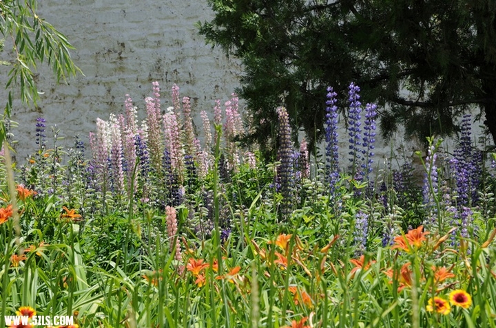 Ƭ 074.jpg