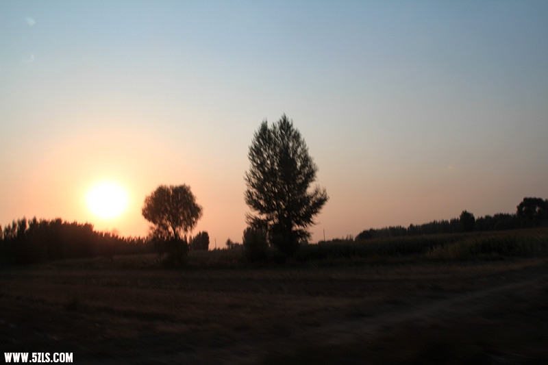 IMG_2946_.jpg