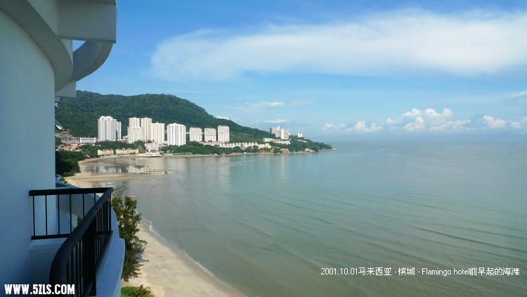 P1160554.jpg