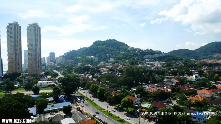 P1160561.jpg