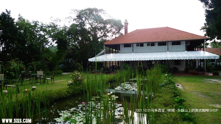 P1170009.jpg