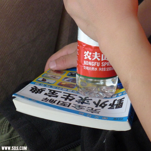 P1010966.jpg
