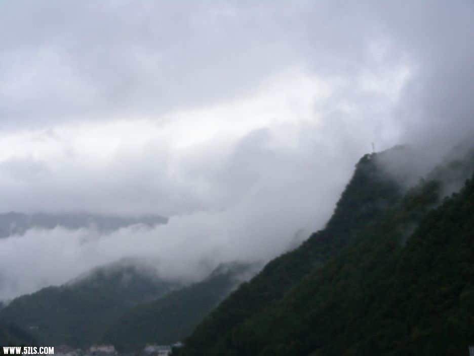 DSCN5324.jpg