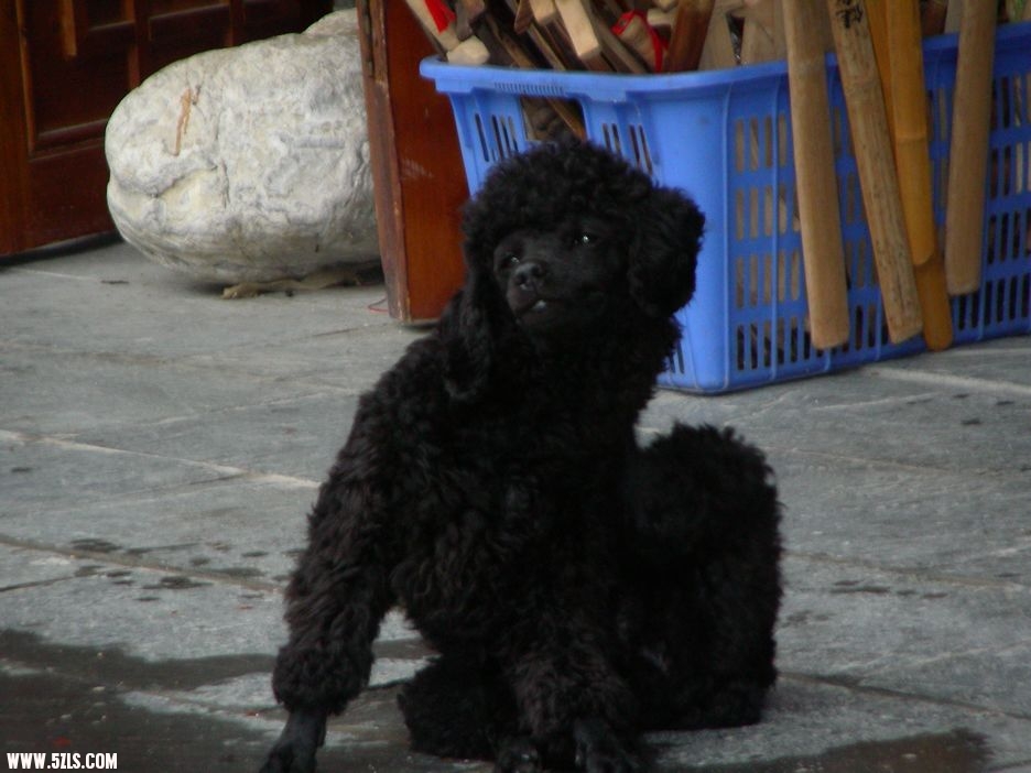DSCN5363.jpg