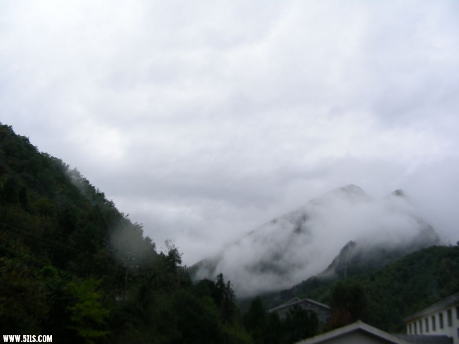 DSCN5371.jpg