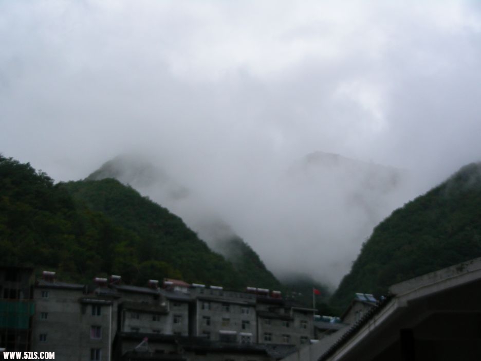 DSCN5377.jpg