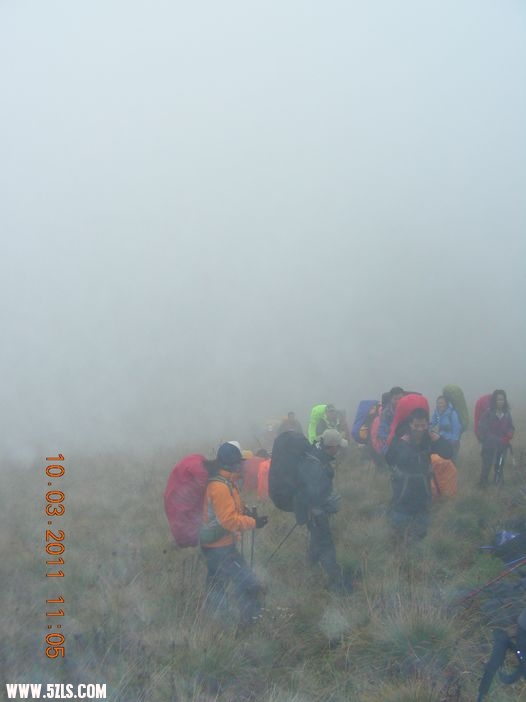DSCN5452.jpg