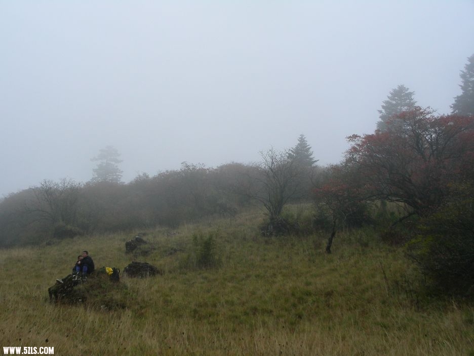 DSCN5467.jpg