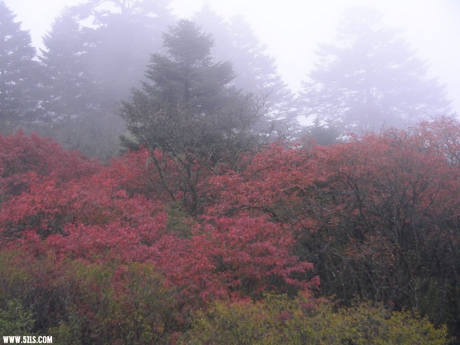 DSCN5468.jpg