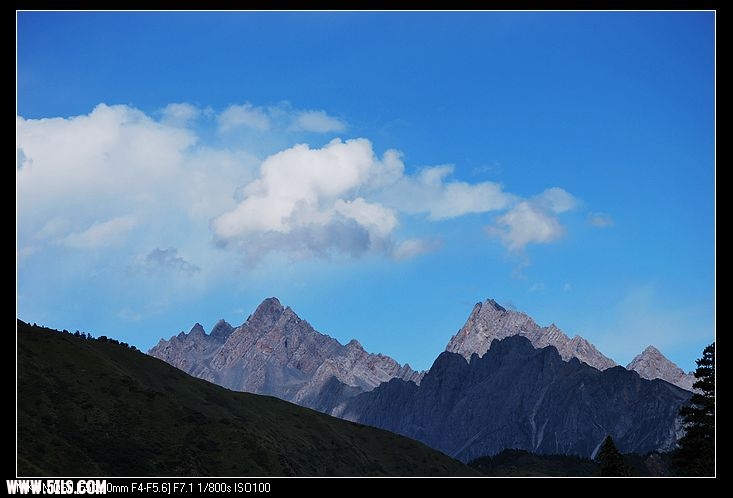 DSC_0078.jpg