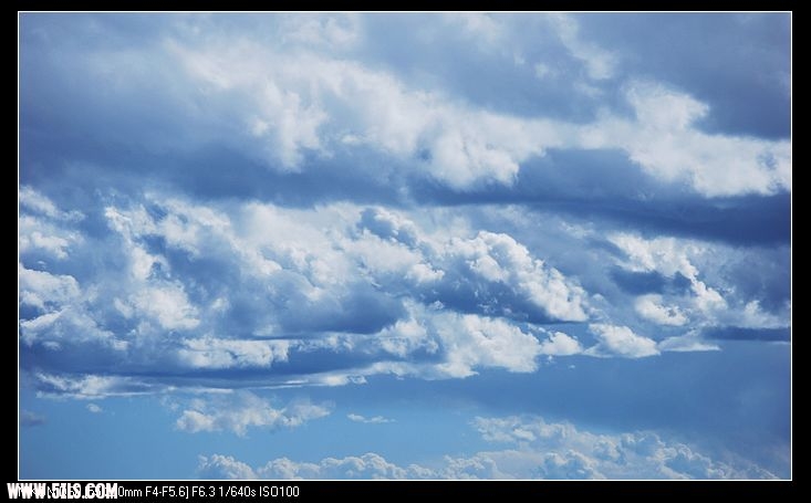 DSC_0087.jpg