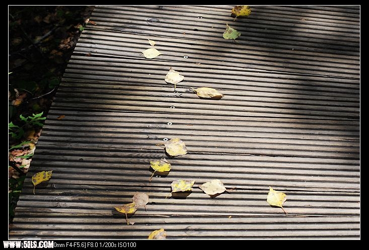 DSC_0003.jpg