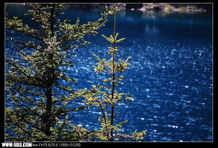 DSC_0017.jpg