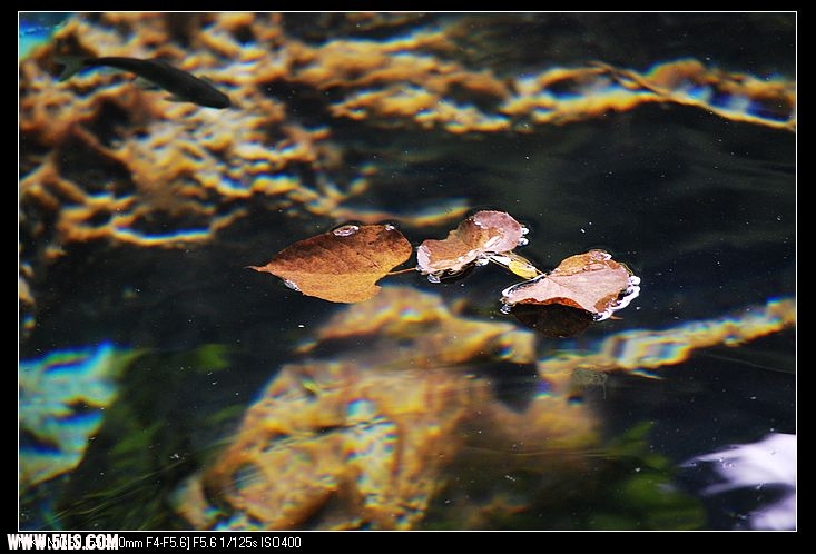 DSC_0275.jpg