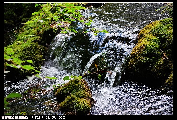 DSC_0314.jpg