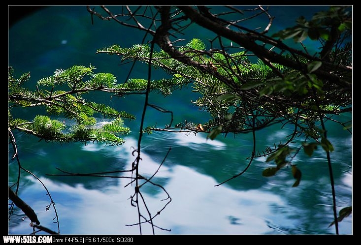 DSC_0309.jpg