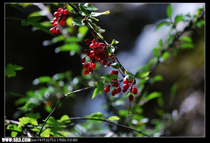 DSC_0325.jpg