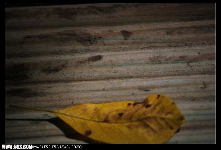 DSC_0340.jpg