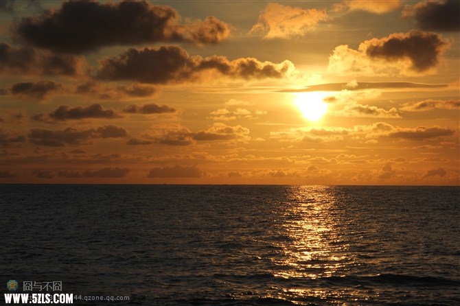 IMG-0351.jpg