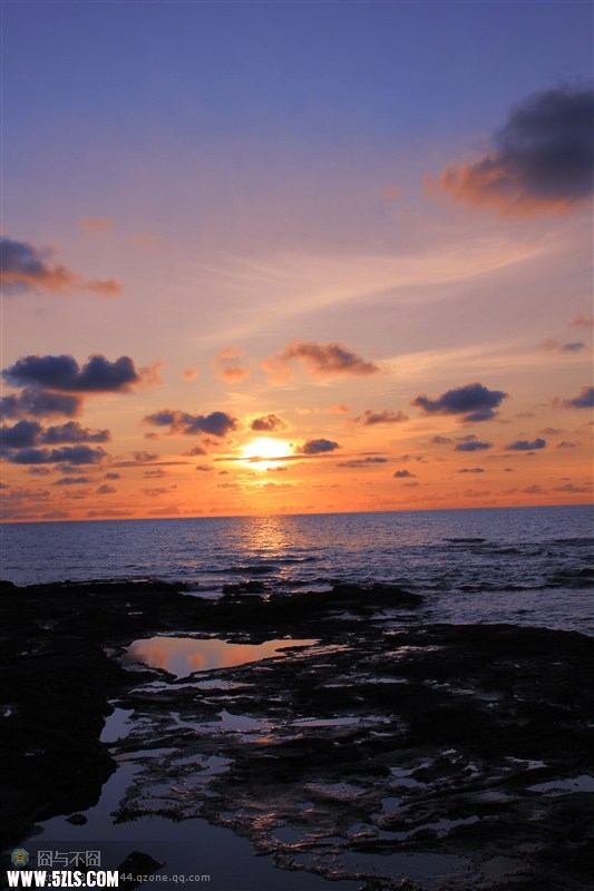 IMG-0371.jpg